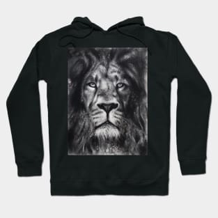 Lion - charcoal drawing Hoodie